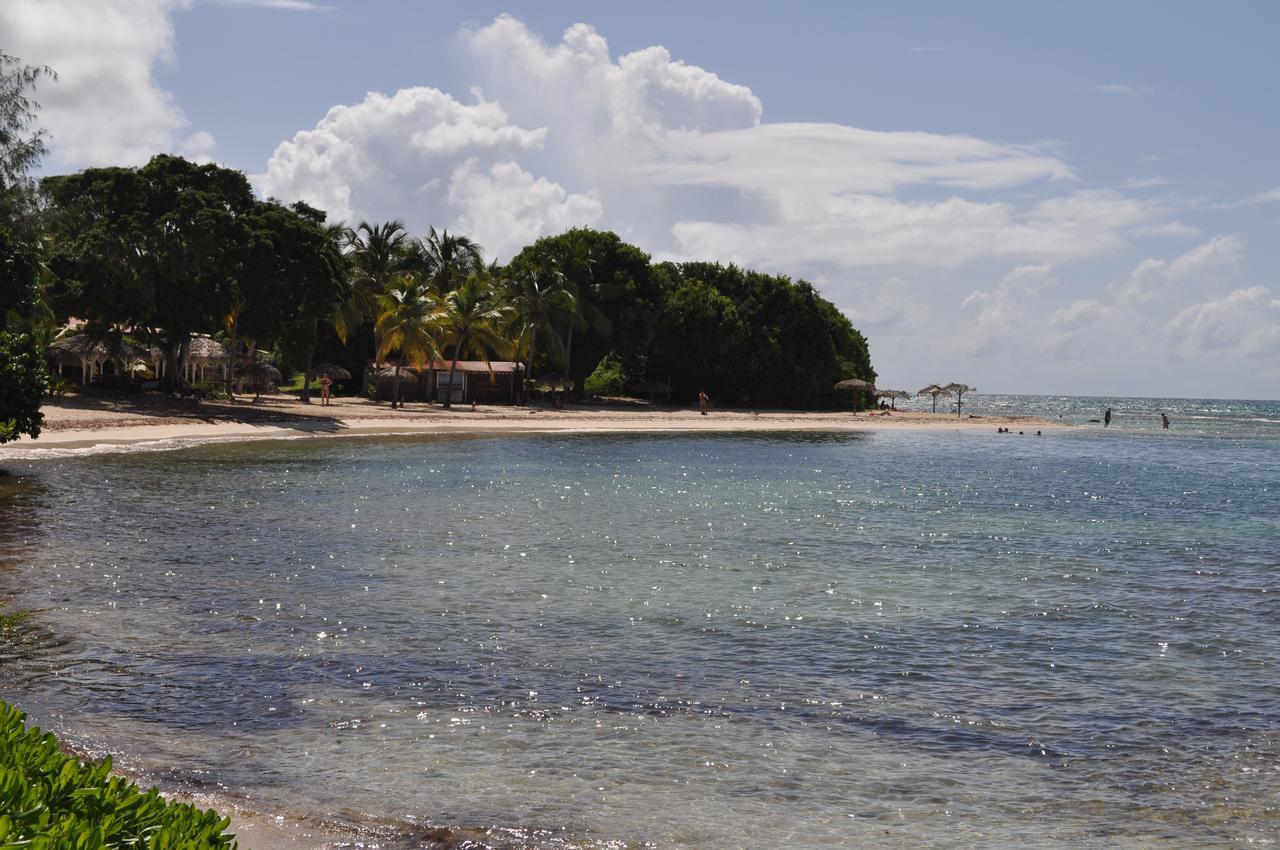 Studio Anse des Rochers Saint-Francois  Buitenkant foto