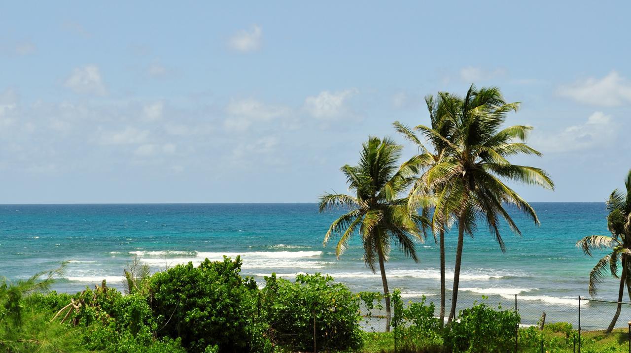 Studio Anse des Rochers Saint-Francois  Buitenkant foto